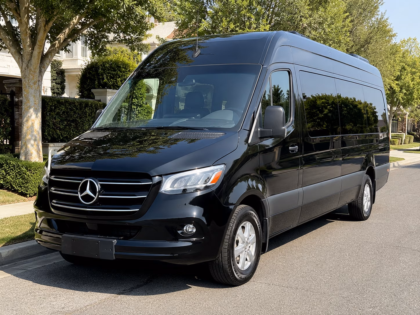 sprinter van and minibus rentals for executive transportation in south fulton